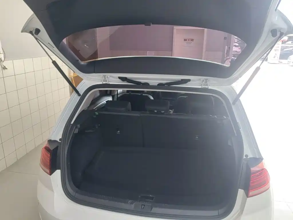 Volkswagen Golf — миниатюра 19