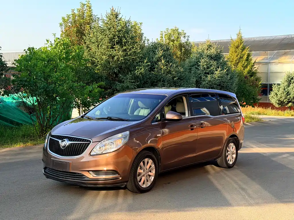 Buick GL8 — миниатюра 3