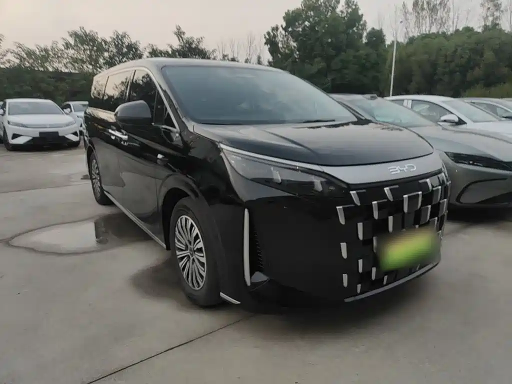 BYD M9 — миниатюра 4
