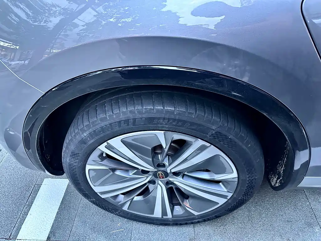 Hongqi Hongqi E-HS9 — миниатюра 10
