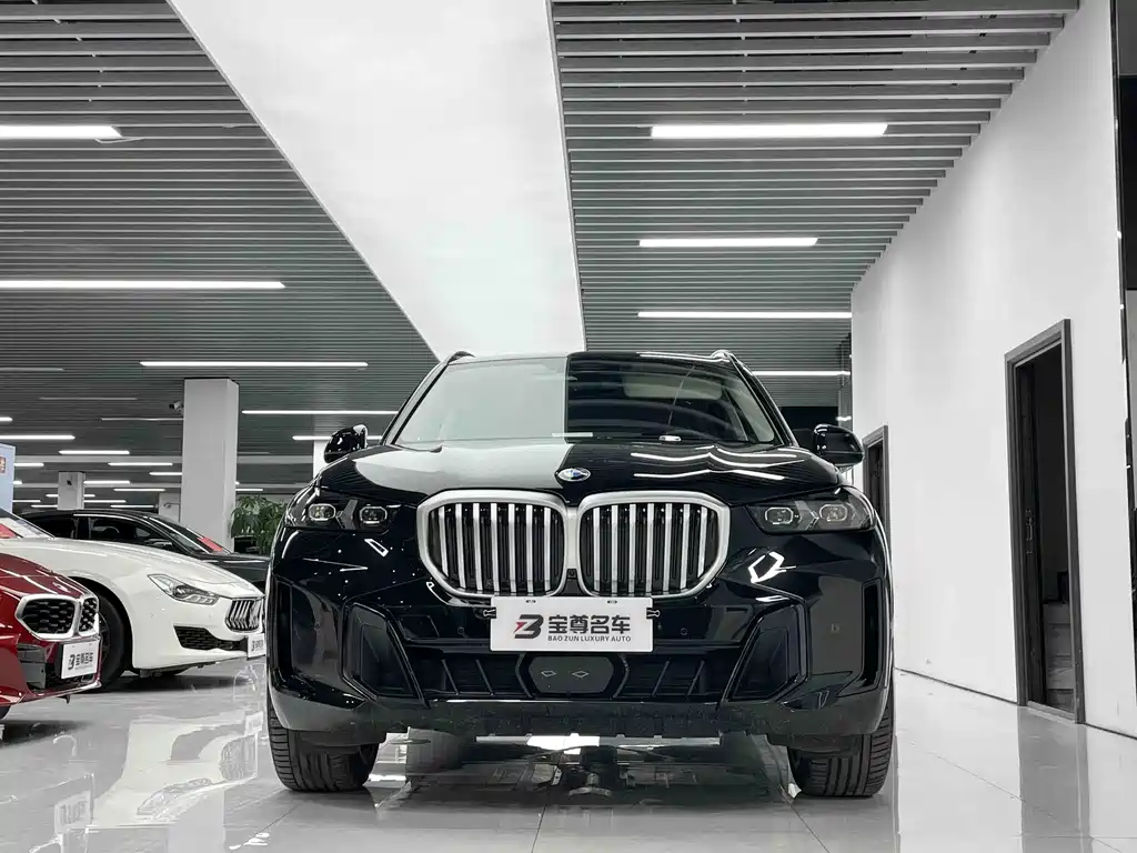 BMW X5 — миниатюра 2