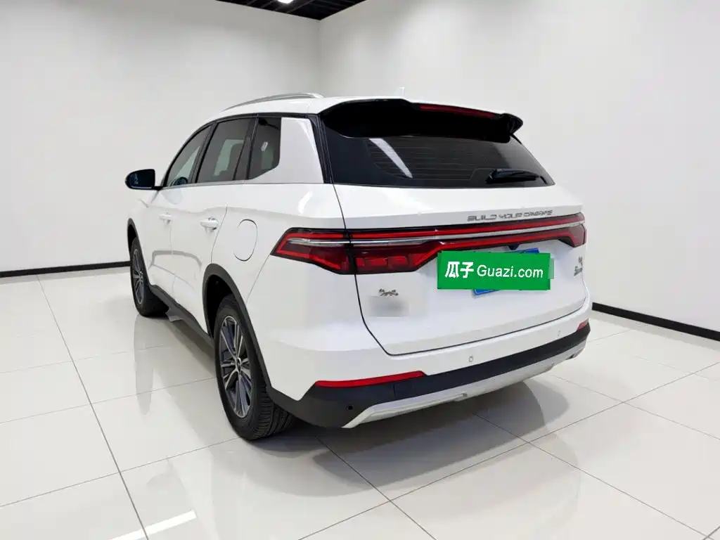 BYD Pro — миниатюра 4