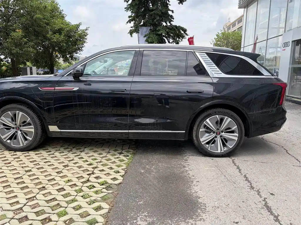 Hongqi E-HS9 2025 690km мест