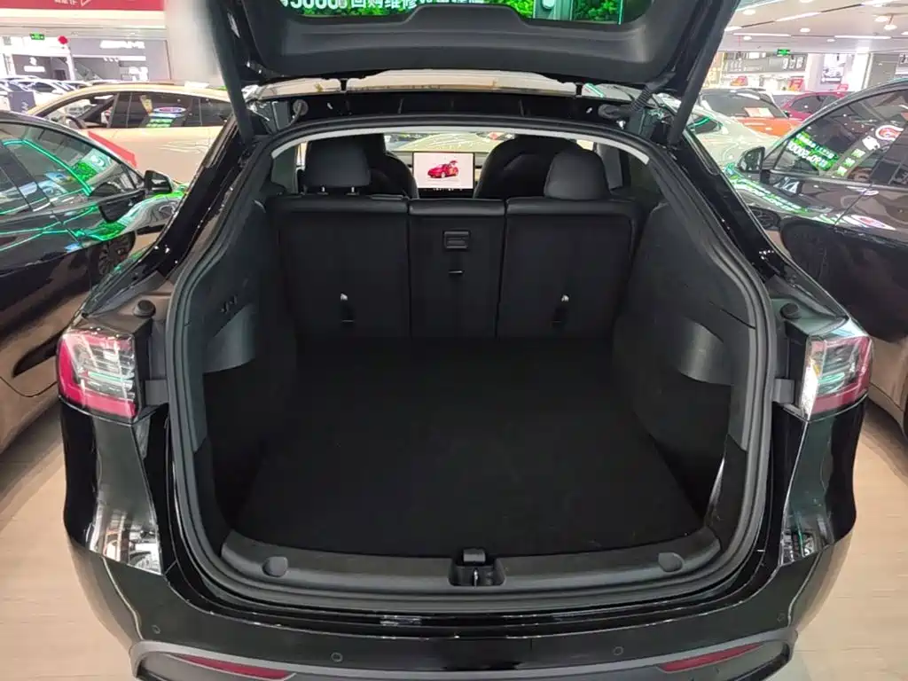 Tesla Model Y — миниатюра 19