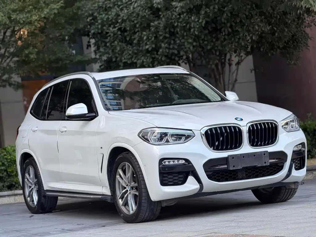 BMW X3 — миниатюра 2