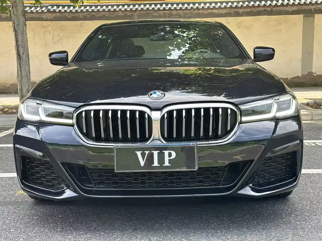 BMW 5 Series — миниатюра 2