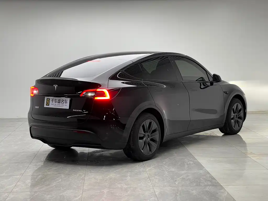 Tesla Model Y — миниатюра 6