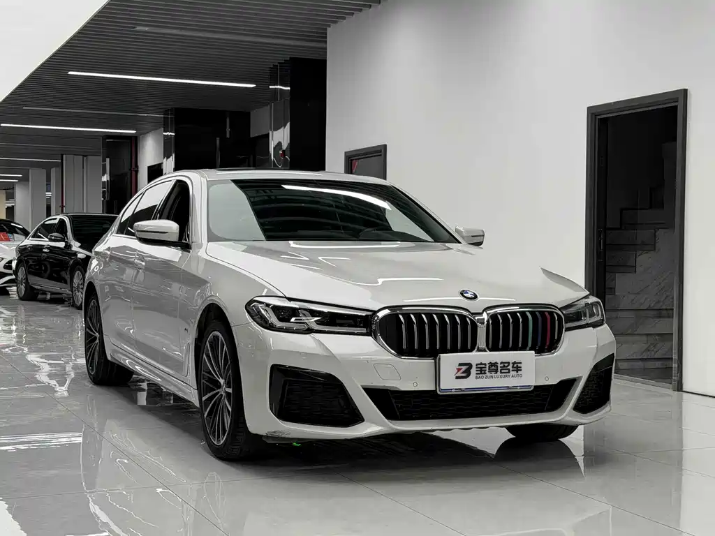 BMW 5 Series — миниатюра 3