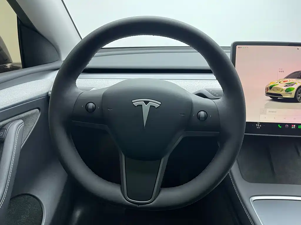 Tesla Model Y — миниатюра 12