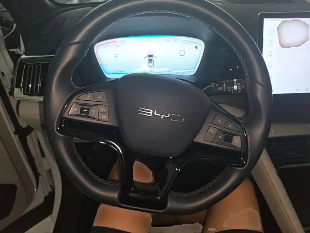 BYD PLUS New Energy — миниатюра 11