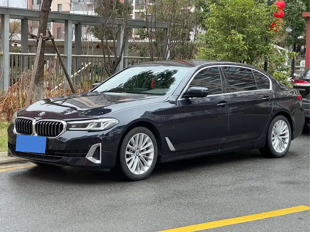 BMW 5 Series New Energy 2020