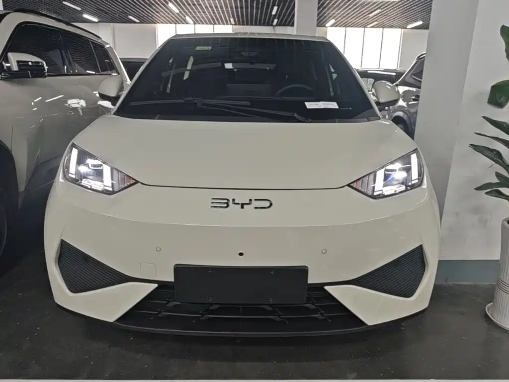 BYD Seagull 2025 Smart Drive 305km Freedom