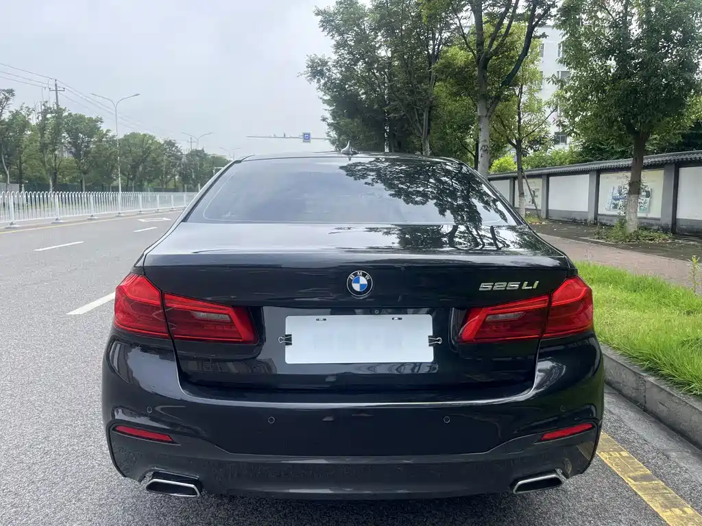 BMW 5 Series — миниатюра 13