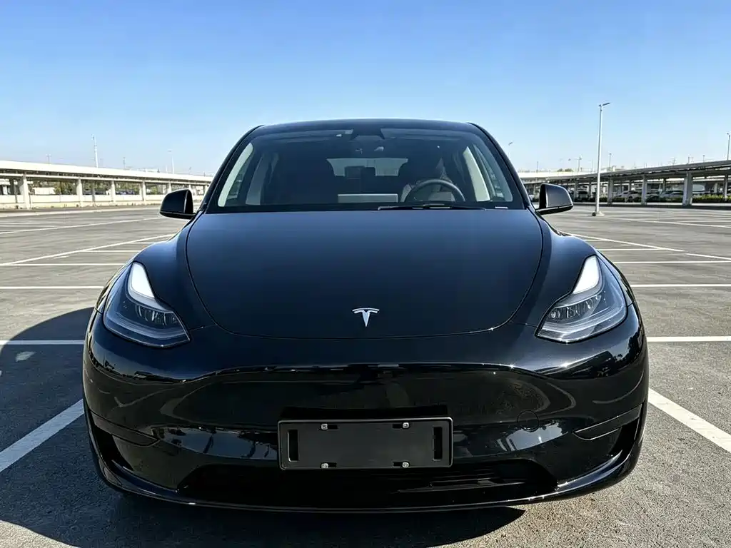 Tesla Model Y — миниатюра 2