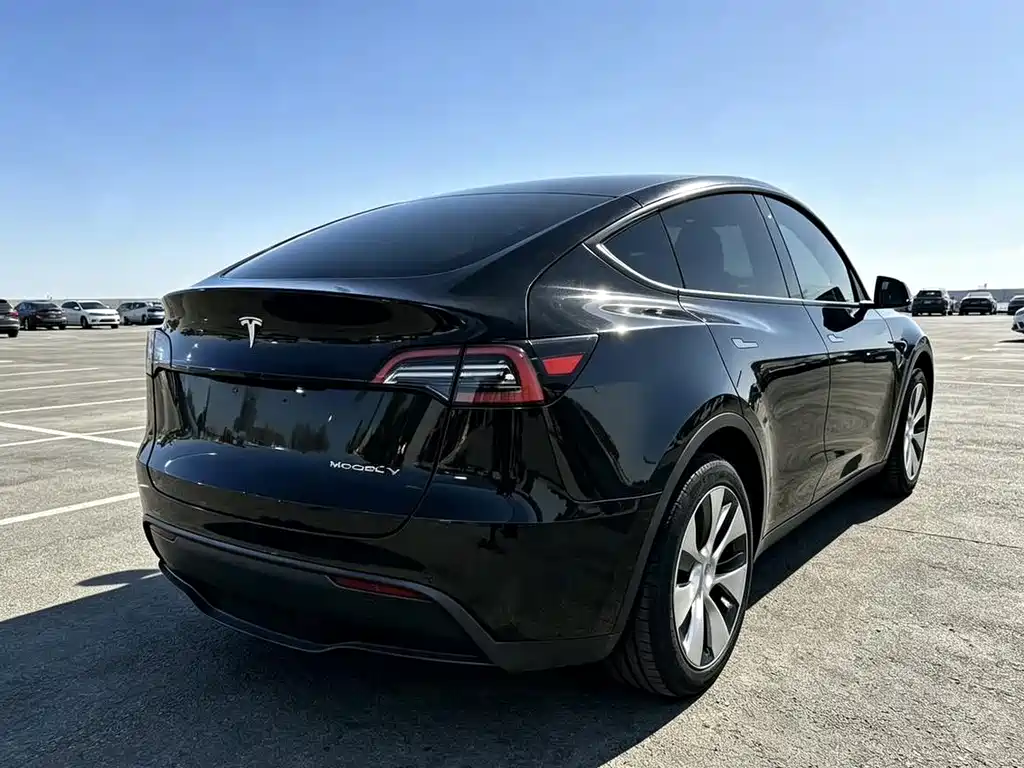 Tesla Model Y — миниатюра 3