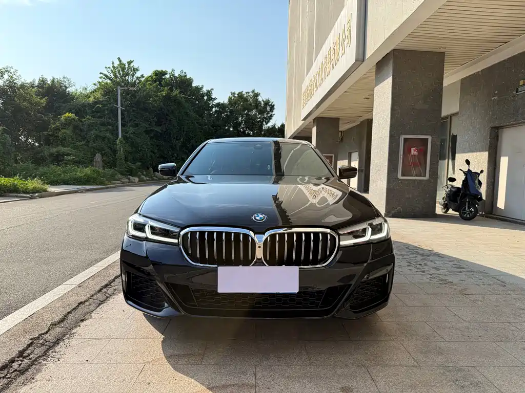 BMW 5 Series — миниатюра 2