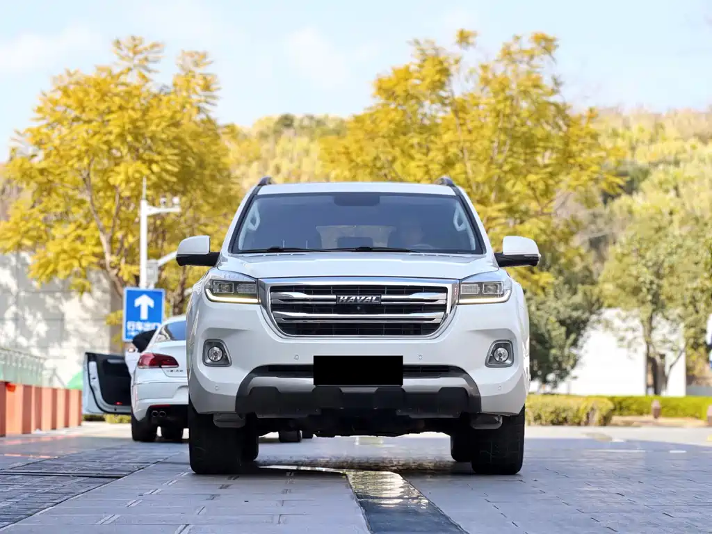 HAVAL H9