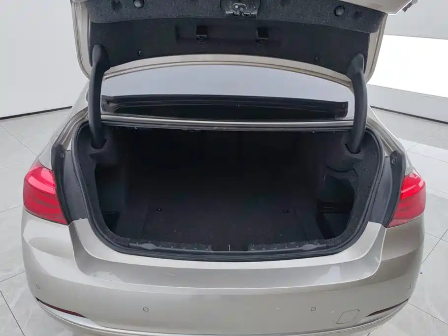 BMW 3 Series 3 2018 320Li Fashion