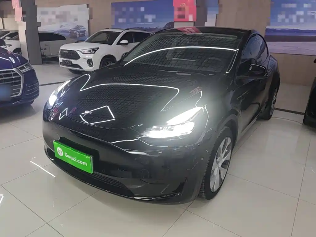 Tesla Model Y — миниатюра 2