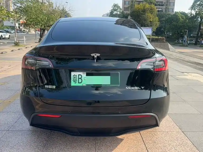 Tesla Model Y — миниатюра 5