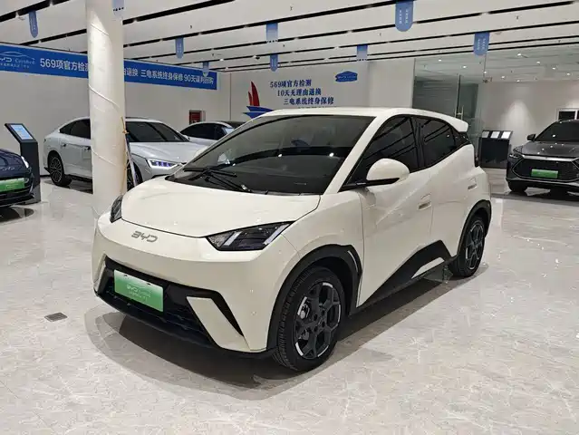 BYD Seagull