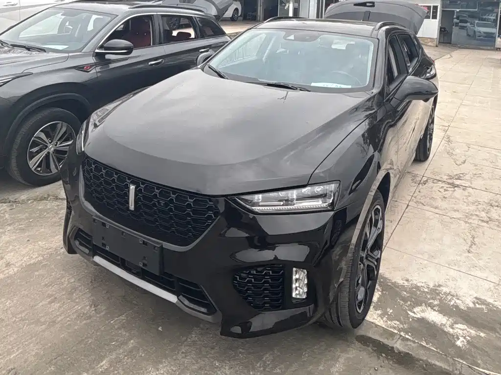 WEI PAI WEI BRAND VV7