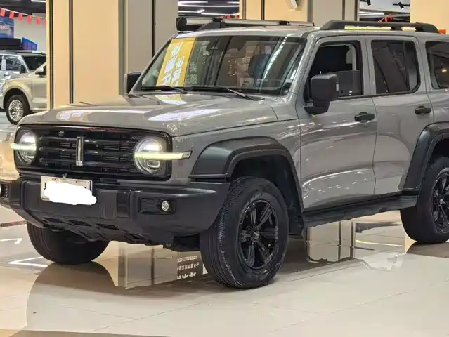 2021 TANK 300