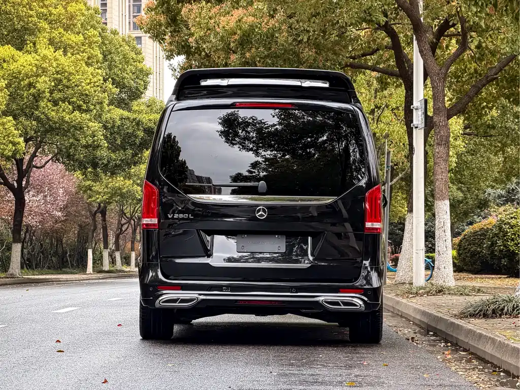 Mercedes-Benz V-Class V 2022 V 260 L Luxury