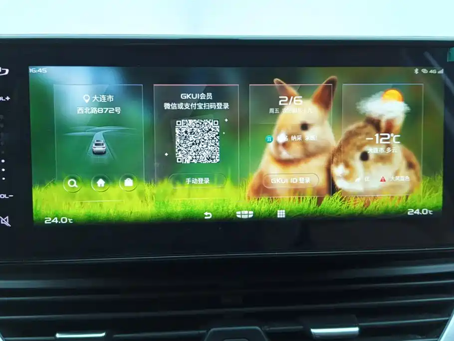 GEELY AUTOMOBILE VISION X6