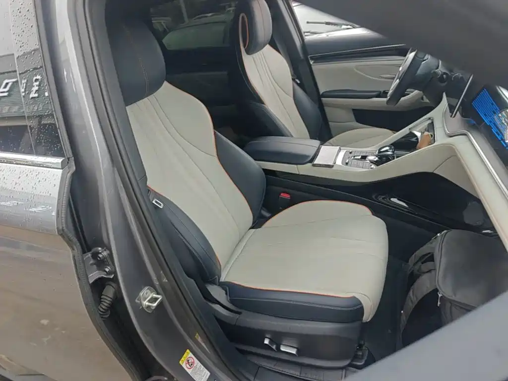 BYD PLUS New Energy — миниатюра 25