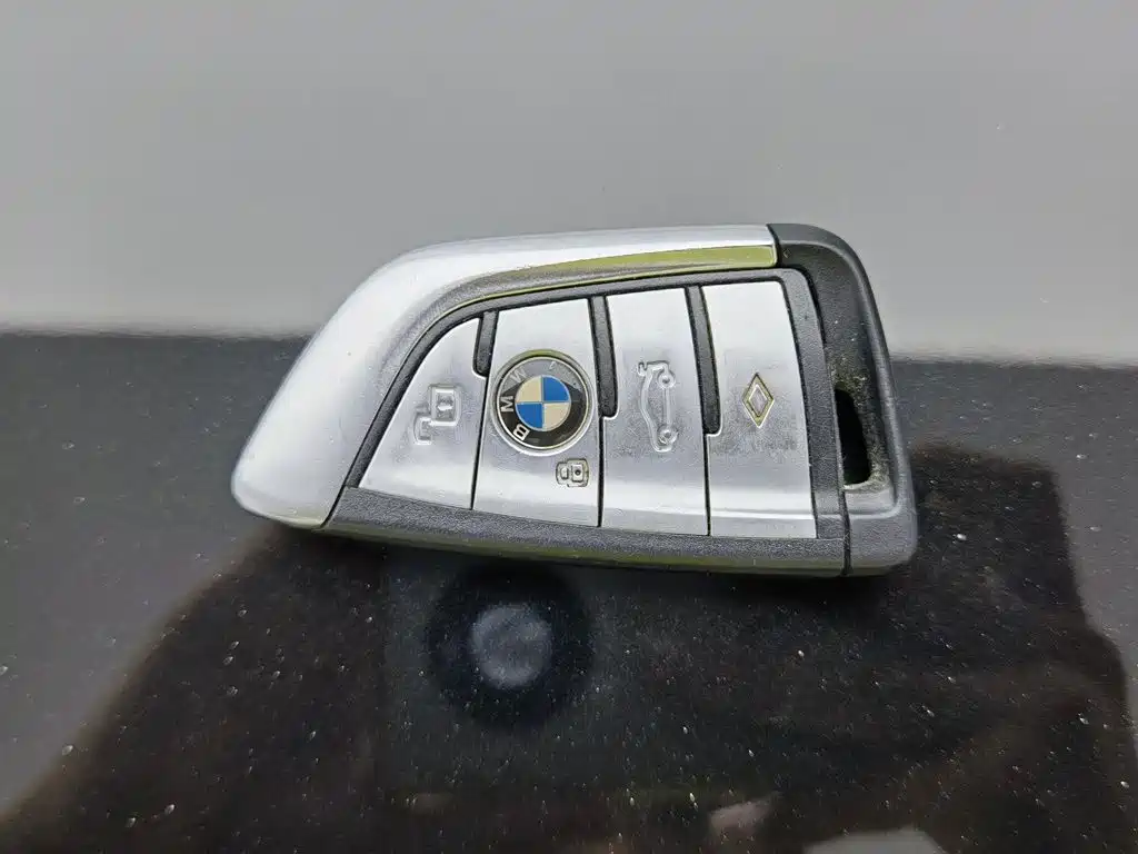 BMW X5 (Import) — миниатюра 19