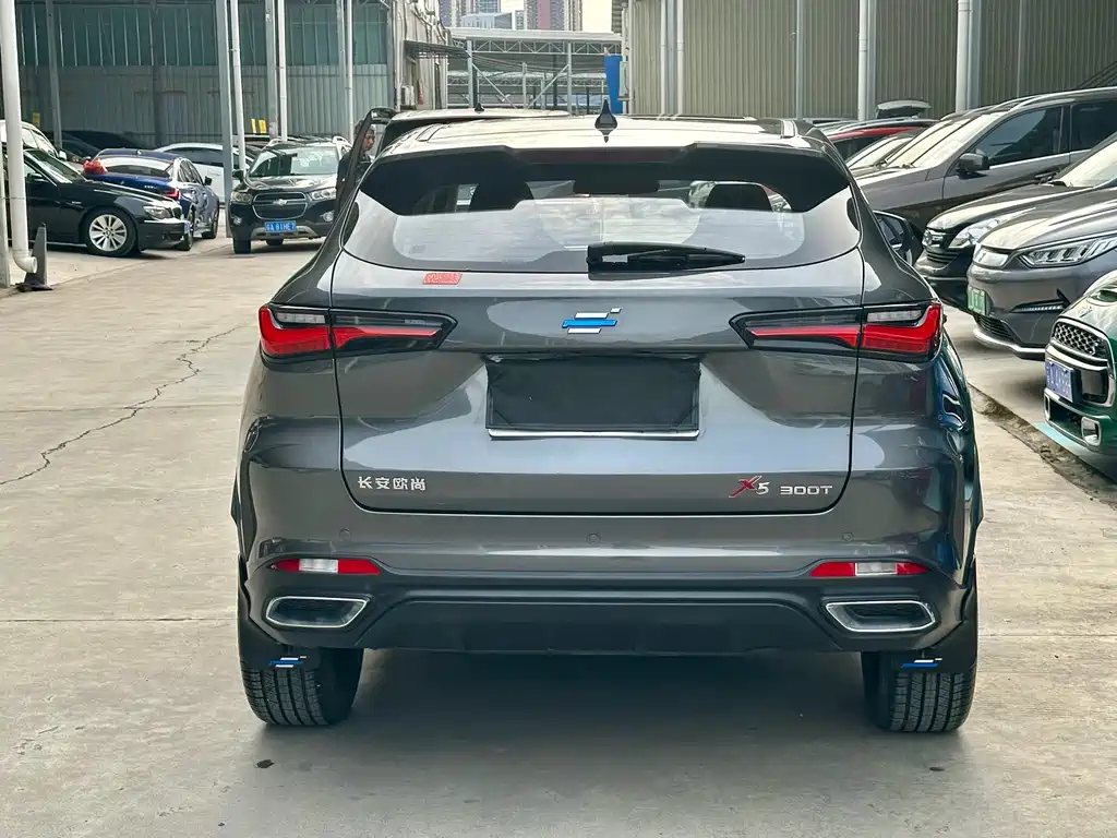 Oshan Oushang X5 — миниатюра 5