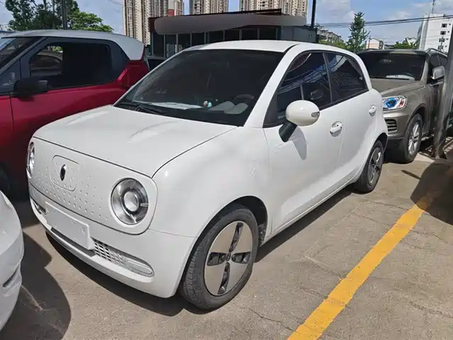 EULER  BLACK CAT 2019