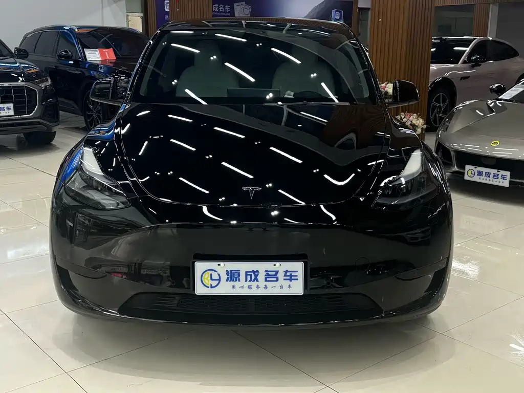 Tesla Model Y — миниатюра 3