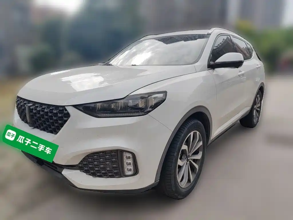 Wey Wey VV6
