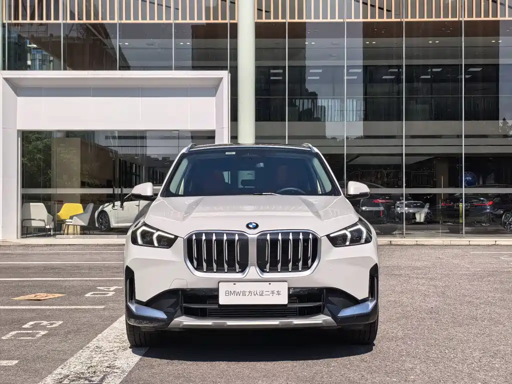 BMW X1 — миниатюра 2