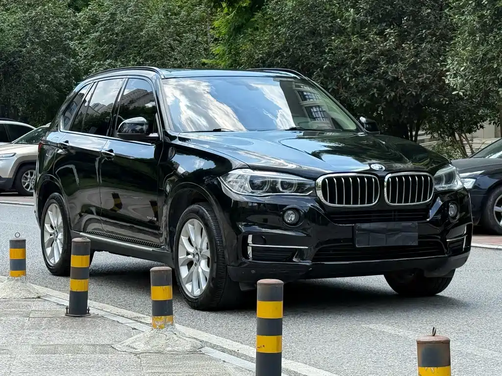BMW X5 (Import) — миниатюра 2