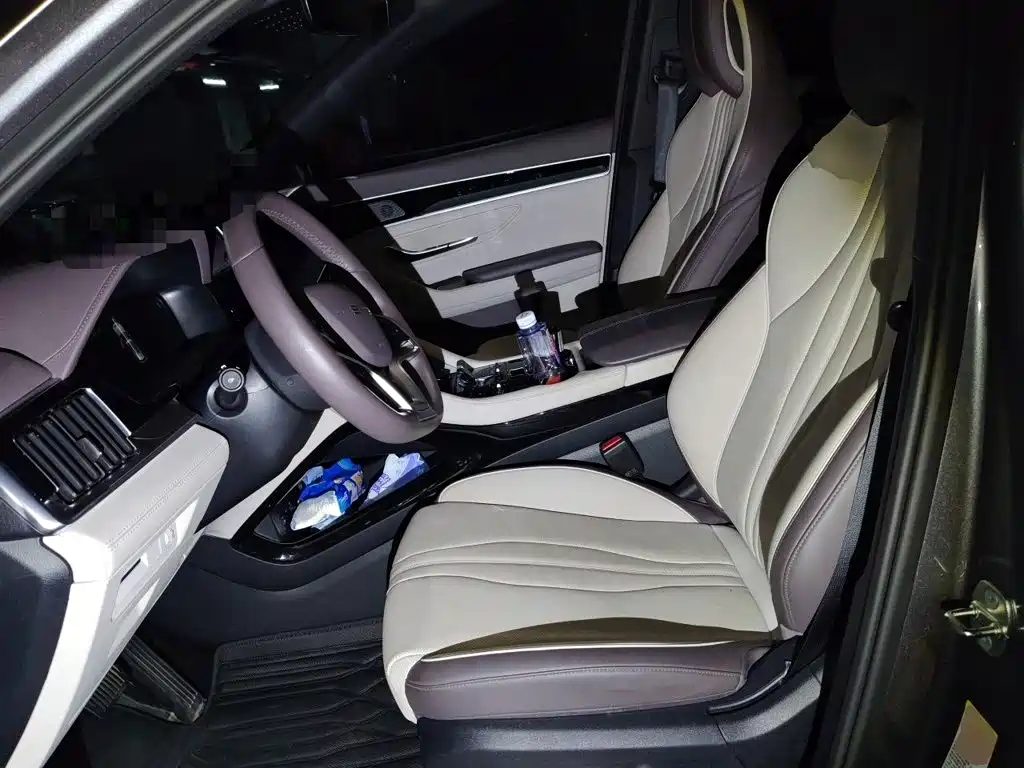BYD PLUS New Energy — миниатюра 16