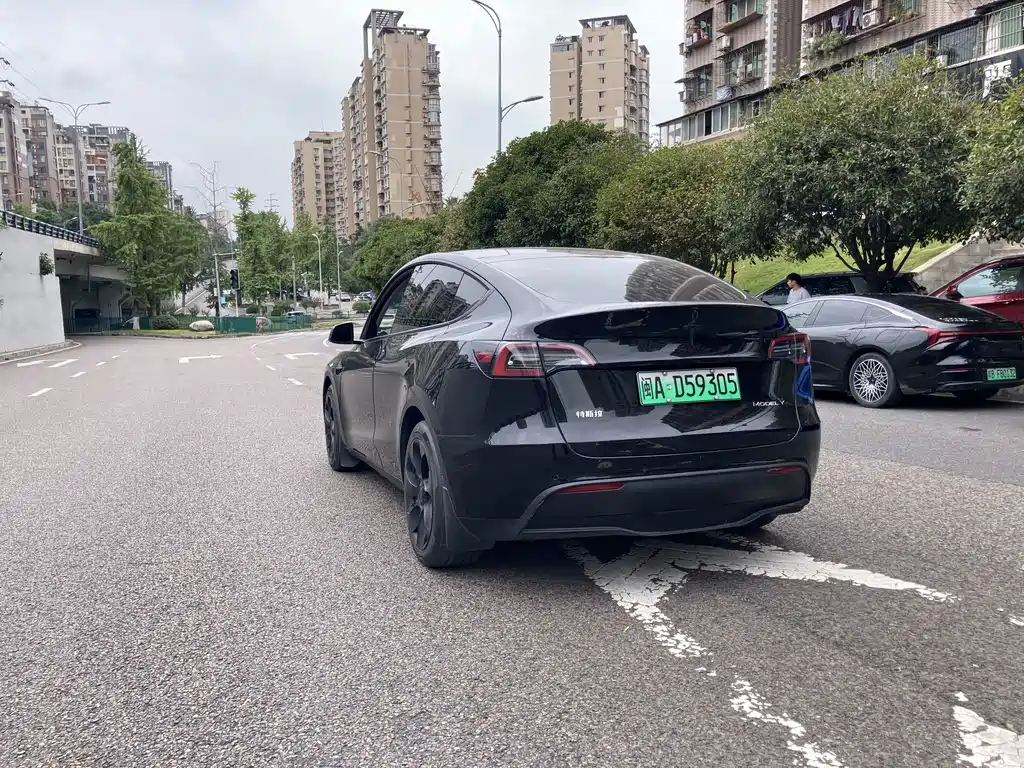 Tesla Model Y — миниатюра 13