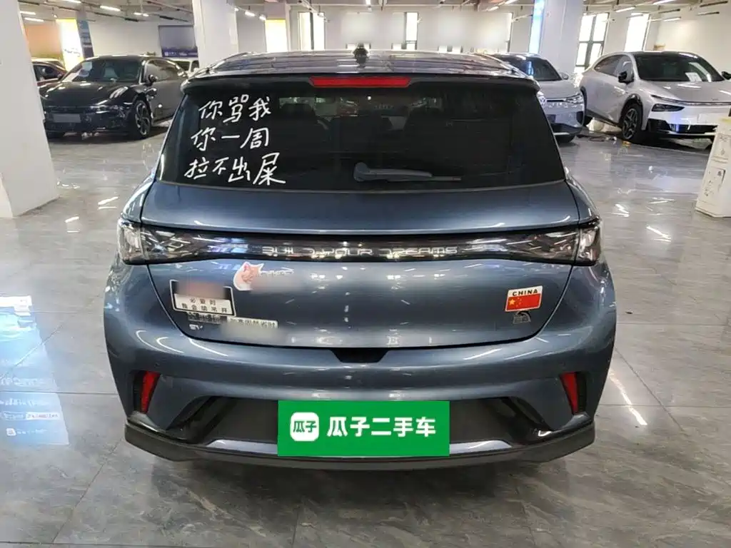 BYD Dolphin — миниатюра 6