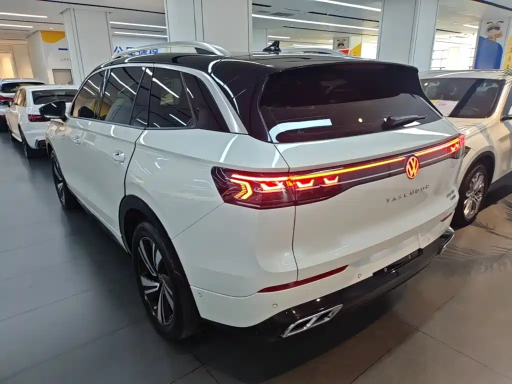 Volkswagen Tavendor — миниатюра 5