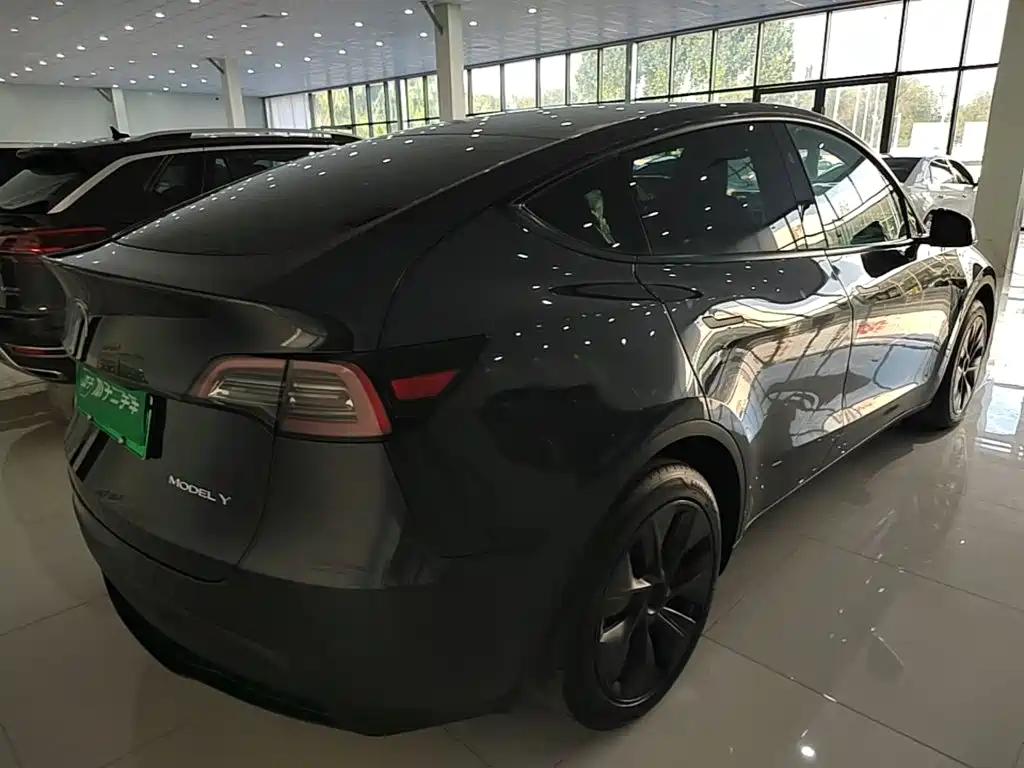 Tesla Model Y — миниатюра 7