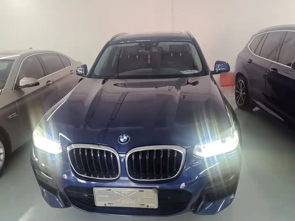 BMW X3 — миниатюра 3