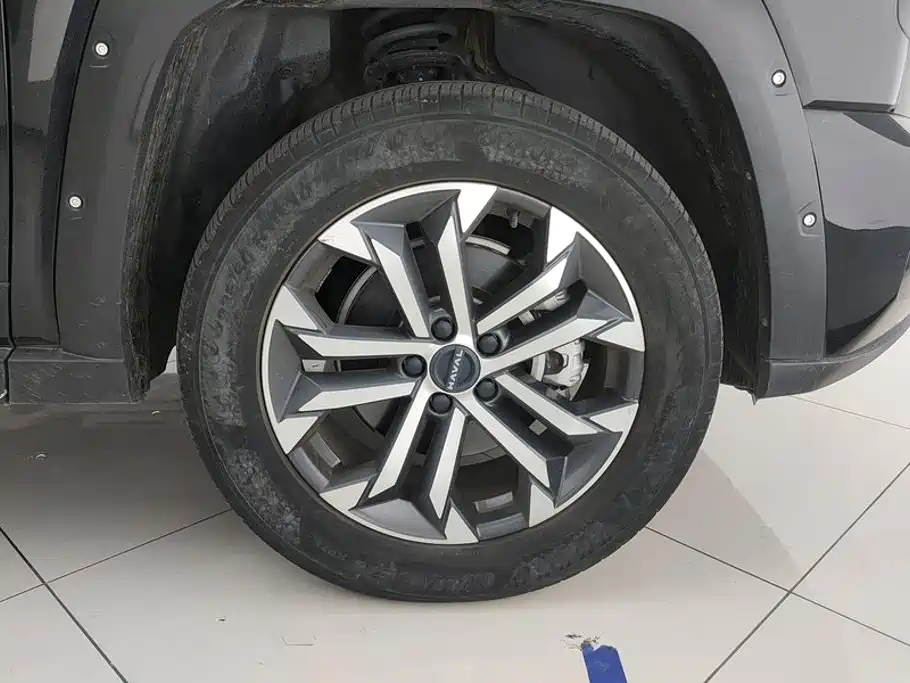 Haval Haval Big Dog PLUS — миниатюра 6
