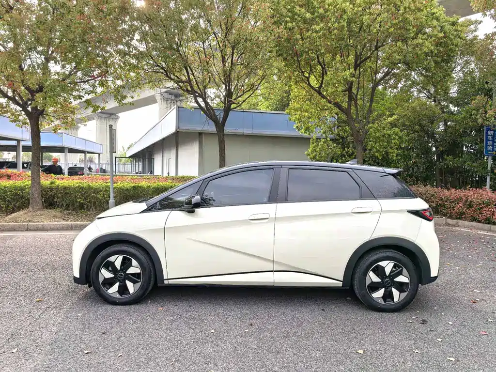 BYD Dolphin - фото 8