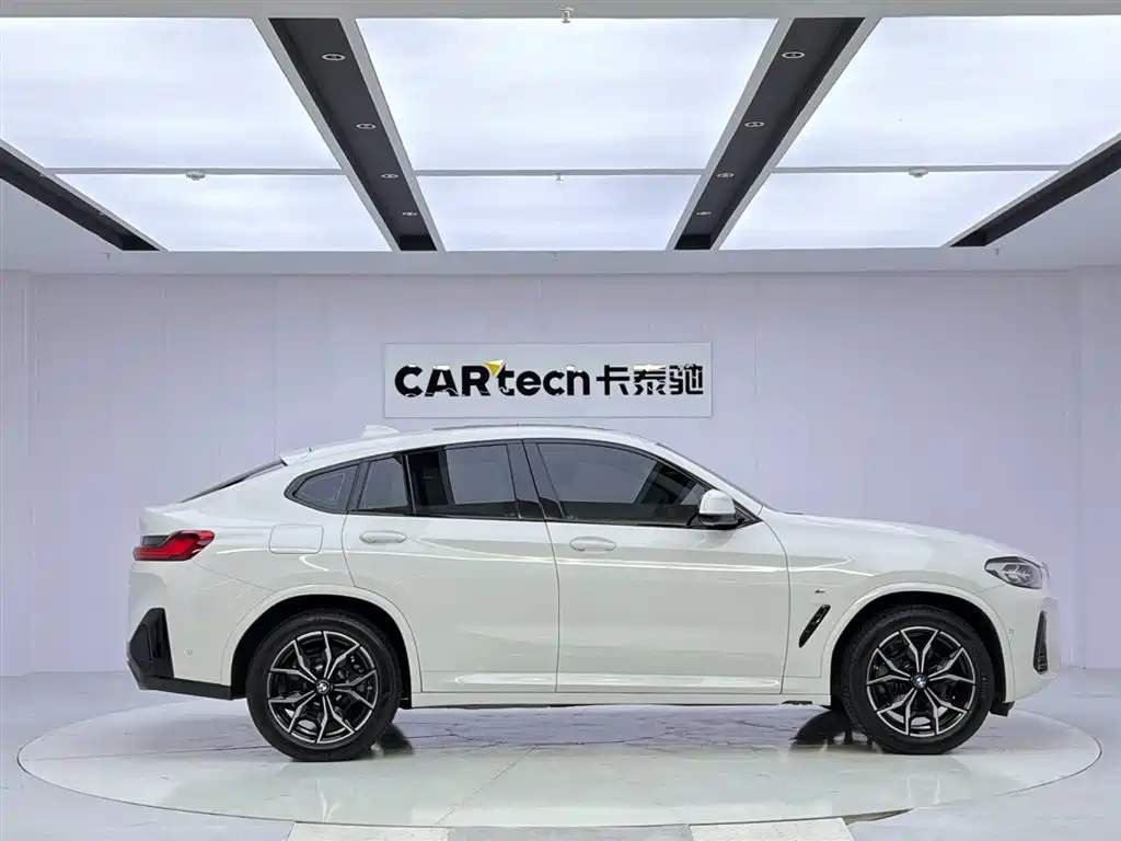 BMW X4 xDrive 25i M Sport Package, фото 6