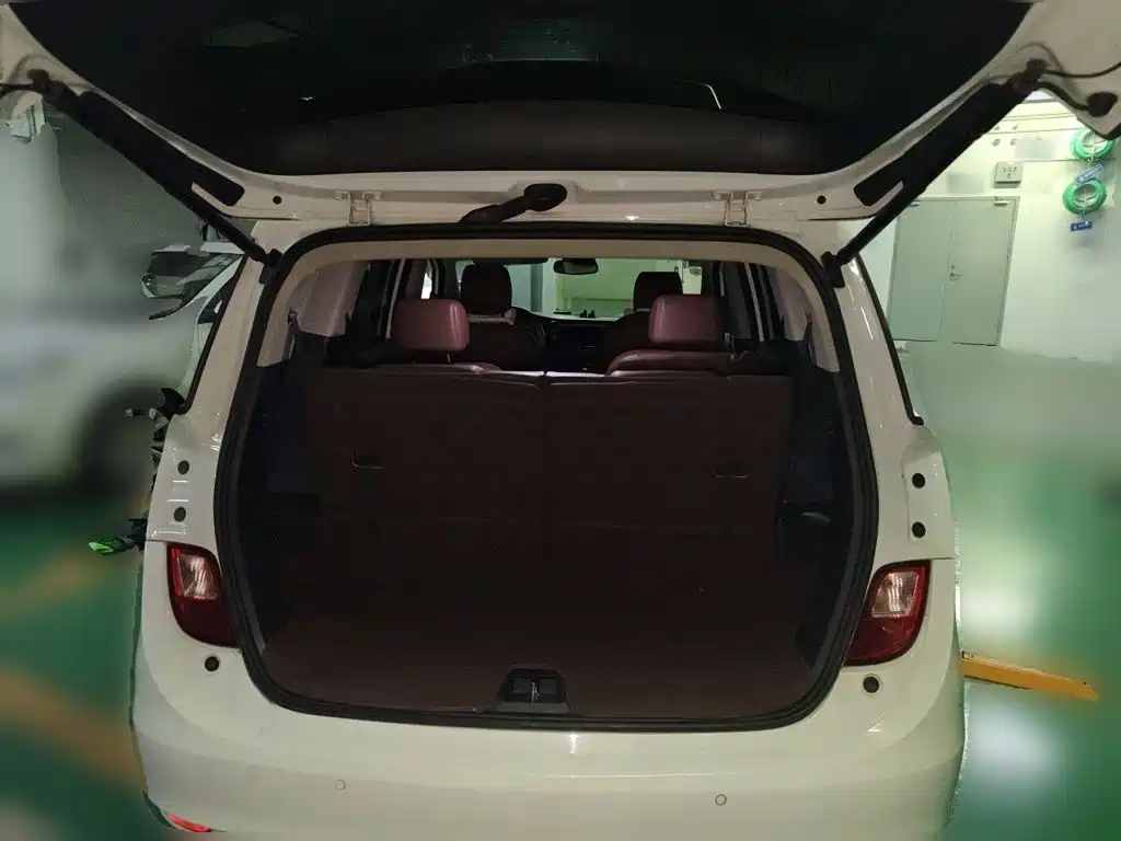 Buick GL6 — миниатюра 15