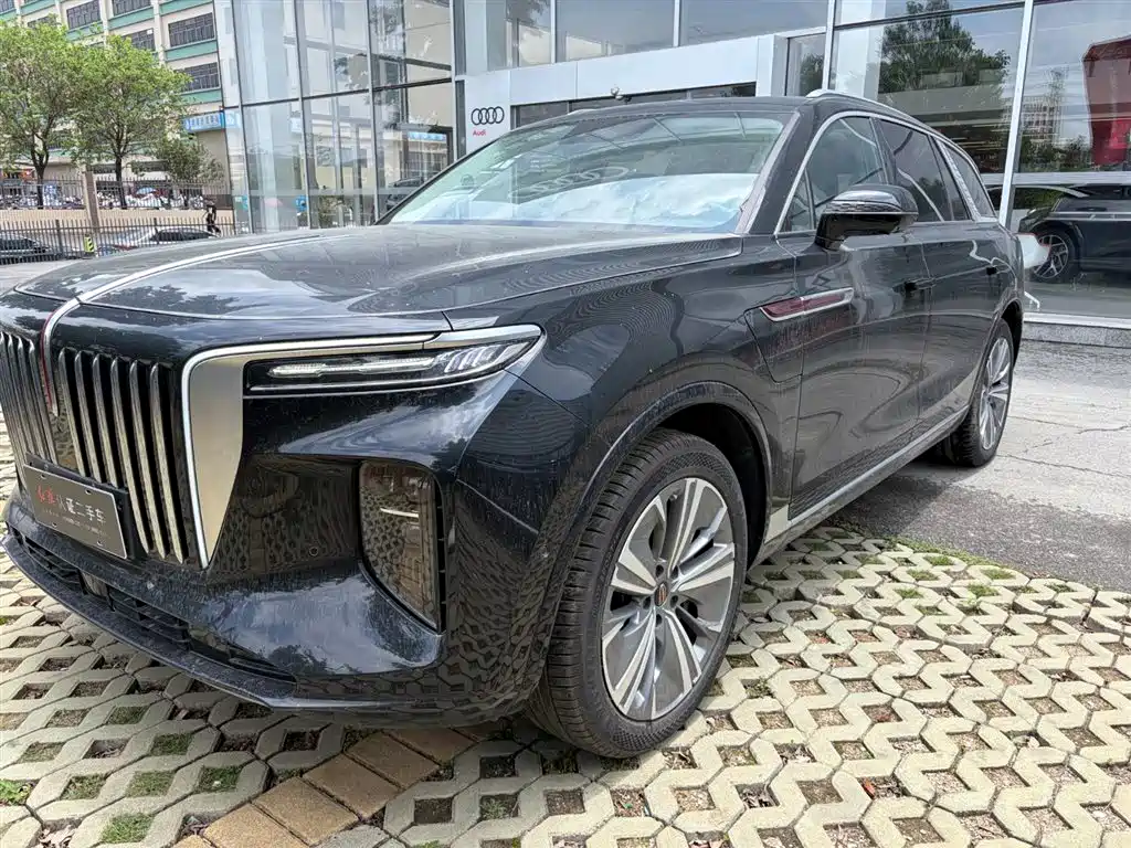 Hongqi E-HS9 2025 690km мест