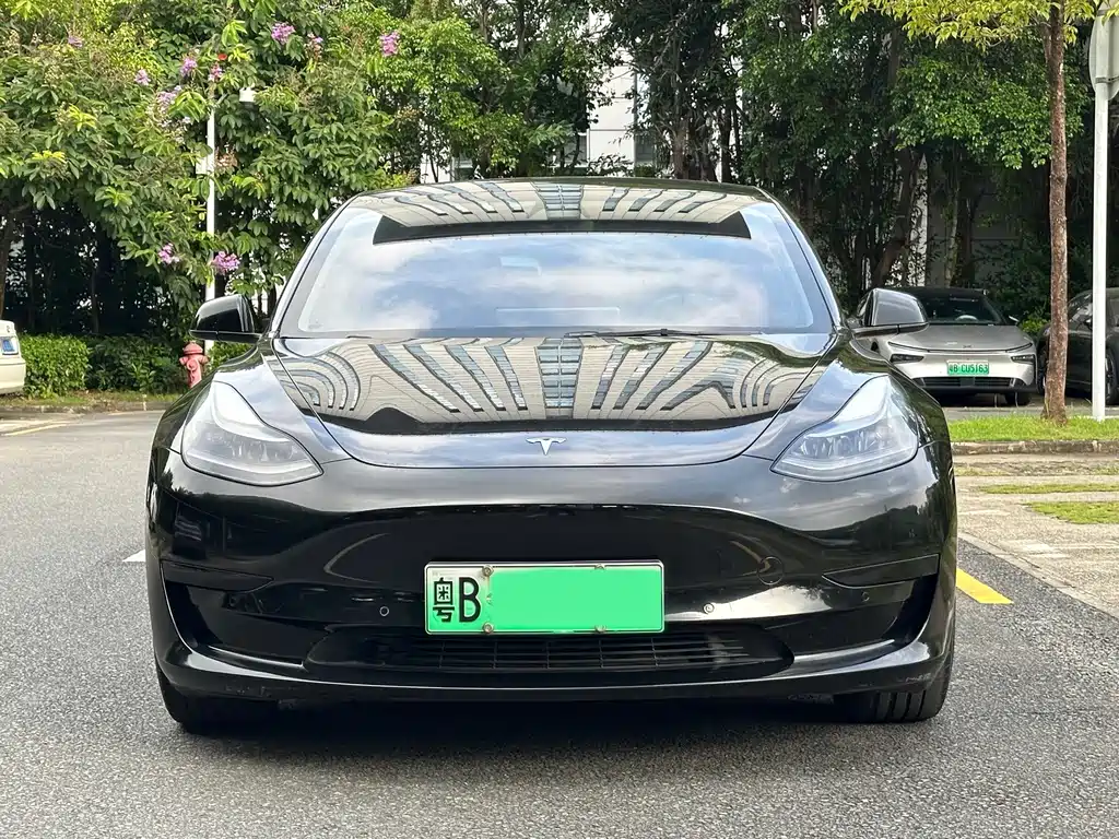 Tesla Model 3 — миниатюра 2