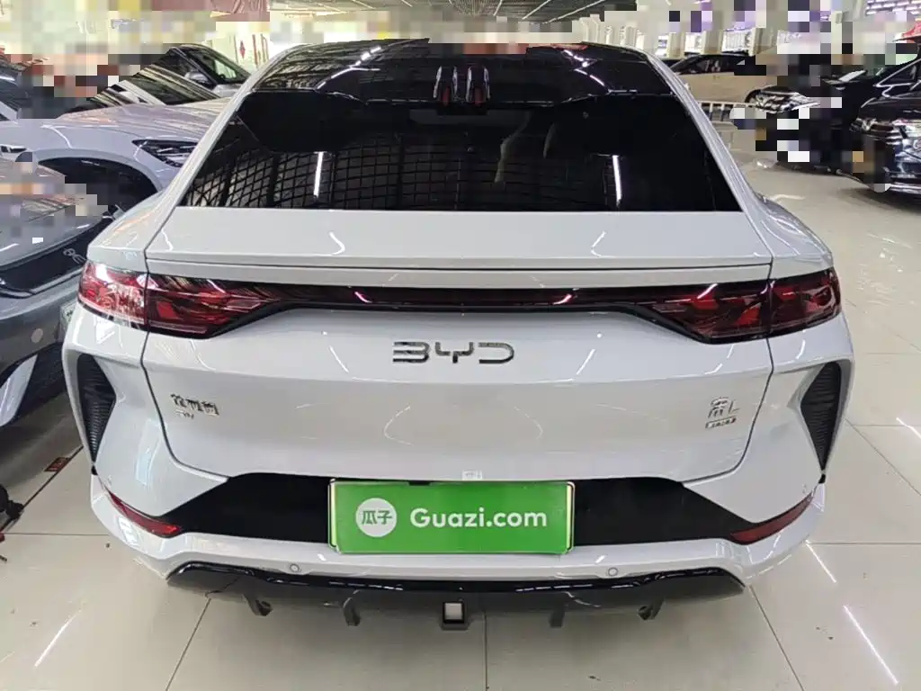 BYD L EV — миниатюра 6